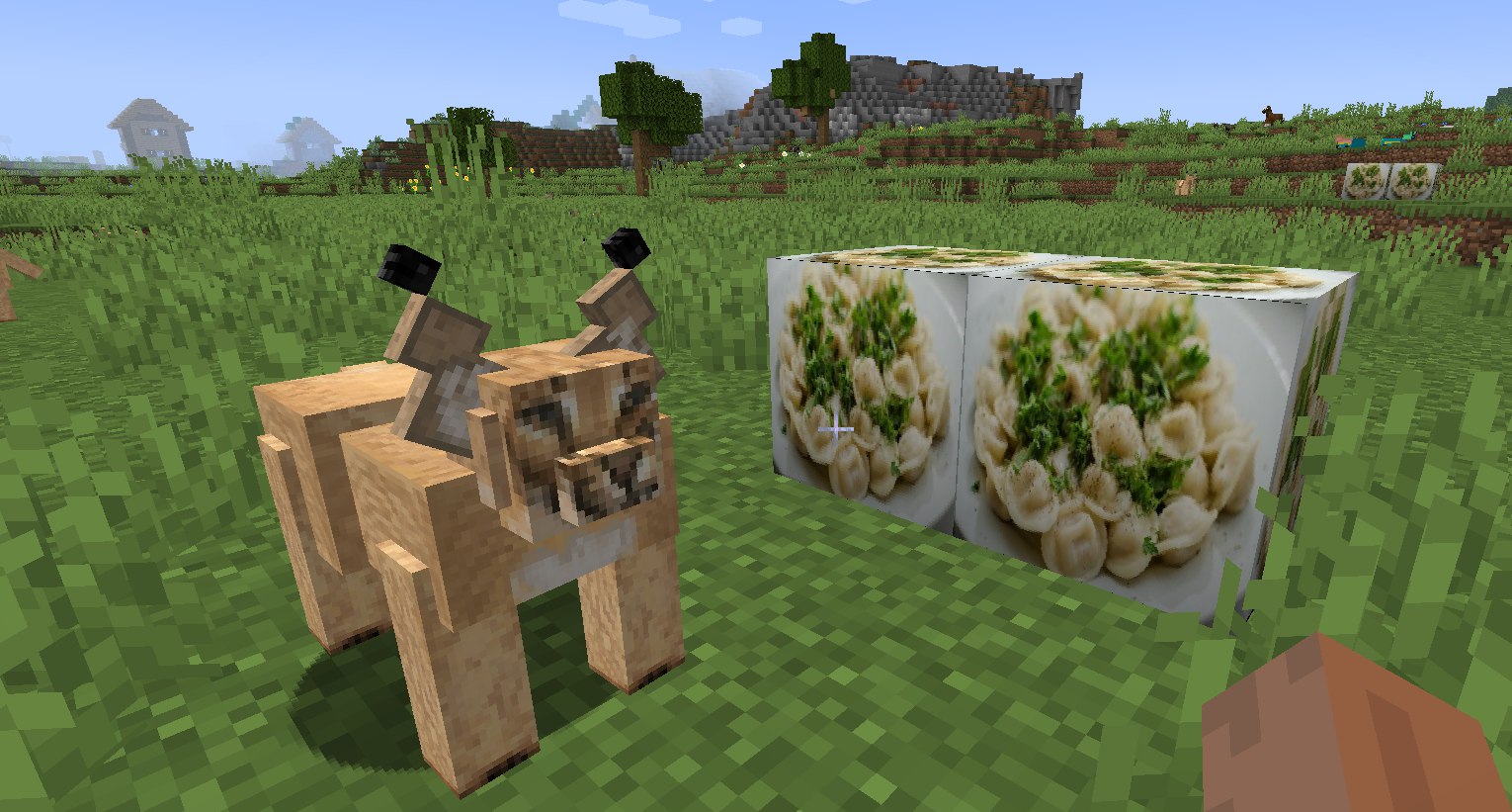 Floppa Mod